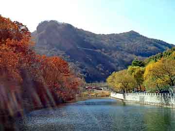 管家婆黑白马报图库，飞鹤奶粉河南总代理